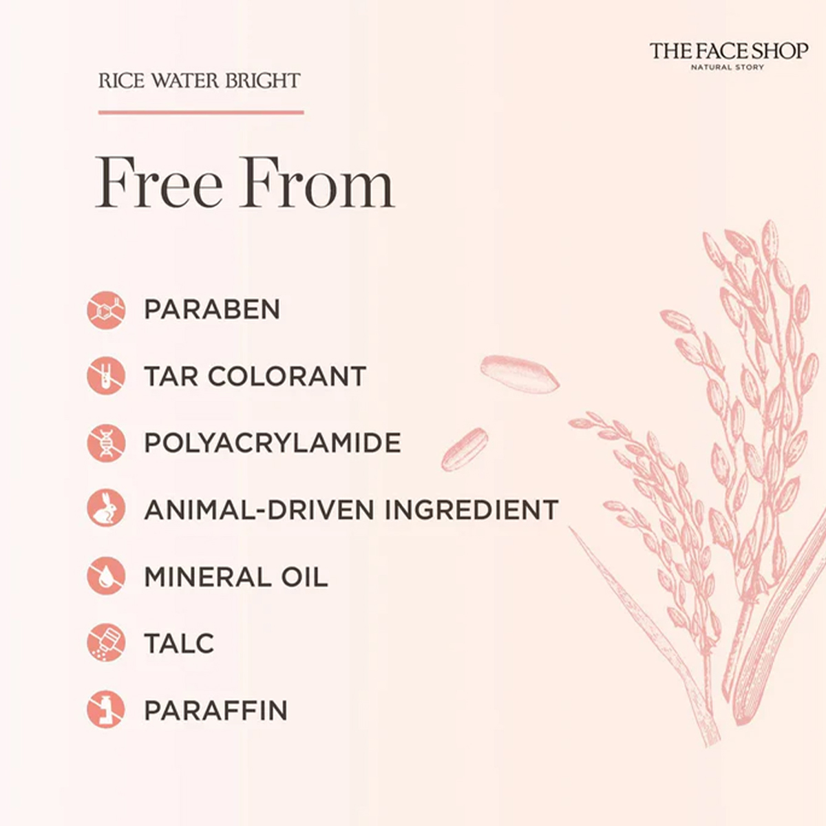 THE FACE SHOP RICE WATER BRIGH - Luxury Skincare Cleanser recension och pris